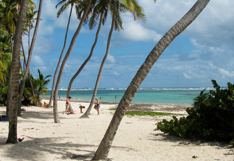 Beach Wedding In Martinique What You Need To Know —