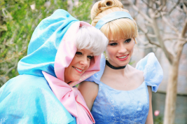 Image of Cinderella and the fairy princess